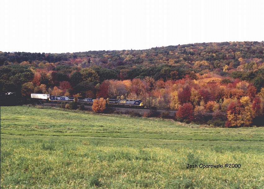 Photo of Fall on the Boston Line