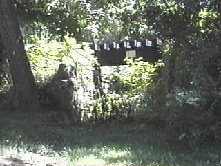 Photo of Abandoned Cape cow path
