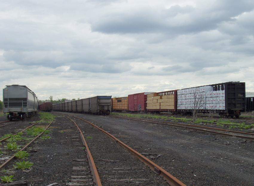 Photo of Freight cars at Cedar Hill yard - North Haven
