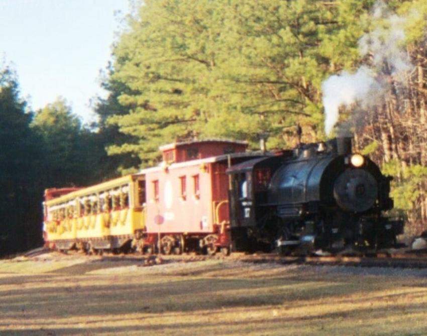 Photo of NHVRY #17 pulls into Bonsal station with the Christmas train