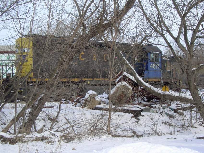 Photo of HIDING BEHIND THE TREES-CSX 4617