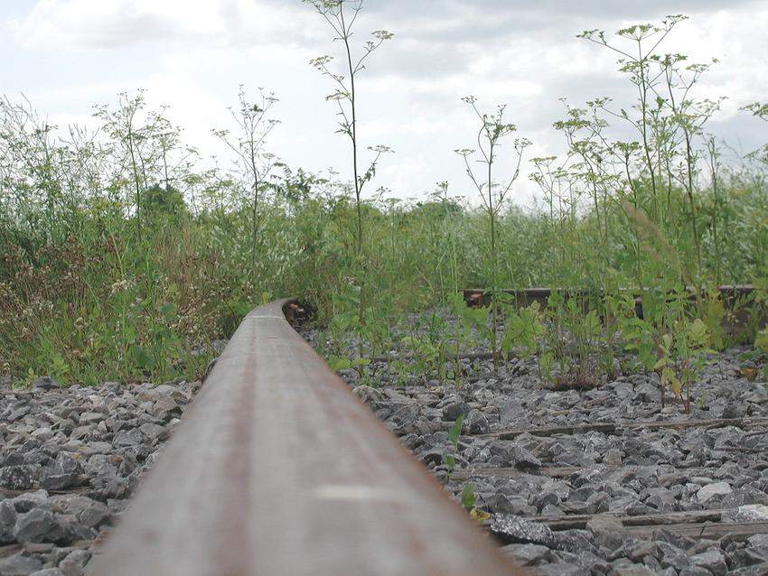 Photo of An abandon railway in Cantic QC off the CN rouses point sub.