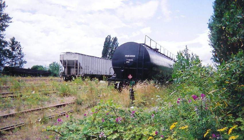 Photo of Switching at the other end of the Wellcox yard