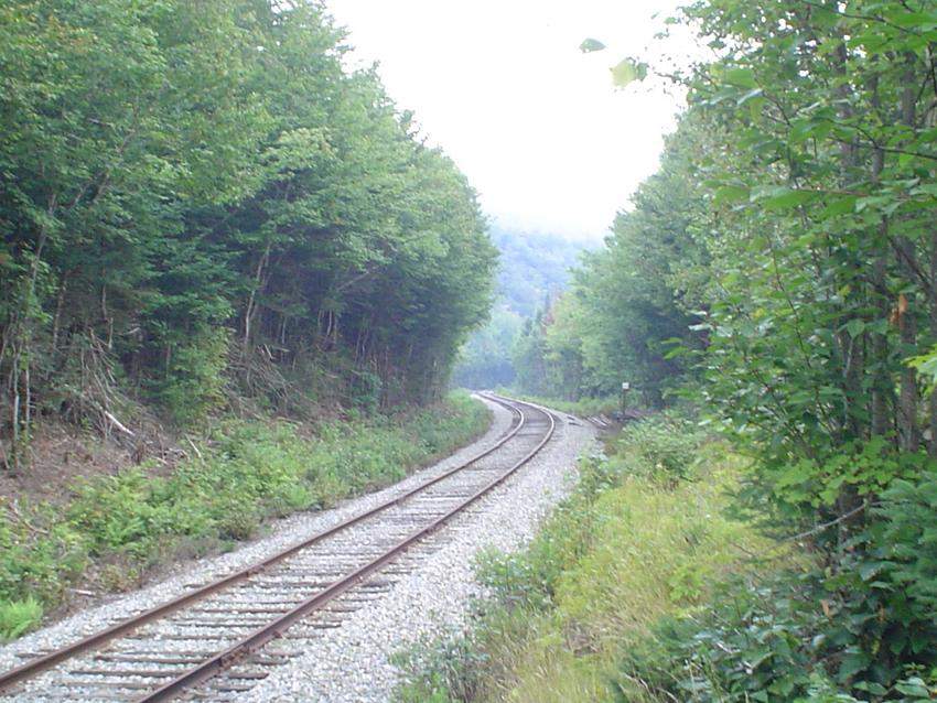 Photo of A look towards Fabyan's Station