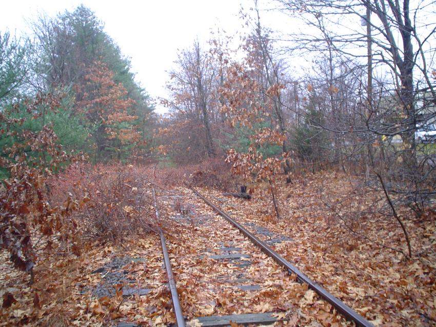Photo of Former NH Mainline, looking towards Lydall...