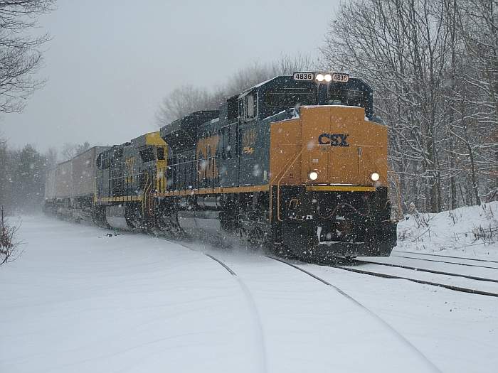 Photo of Aces in the Snow