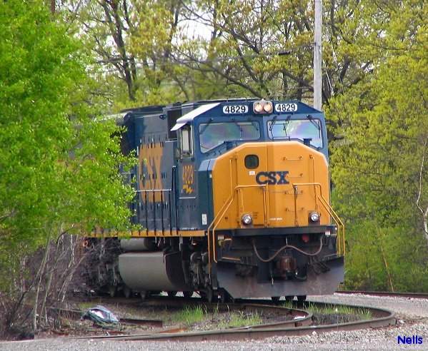 Photo of CSX and spring greenery!
