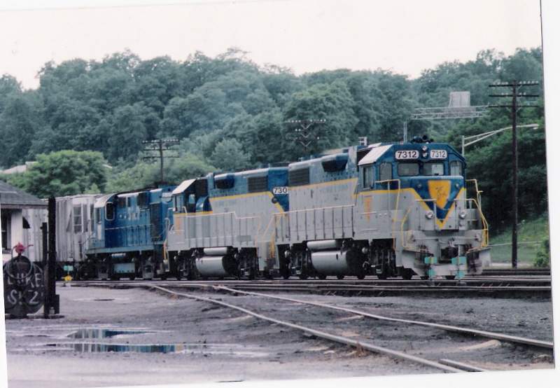 Photo of Kenwood yard, Albany, NY, summer 1991