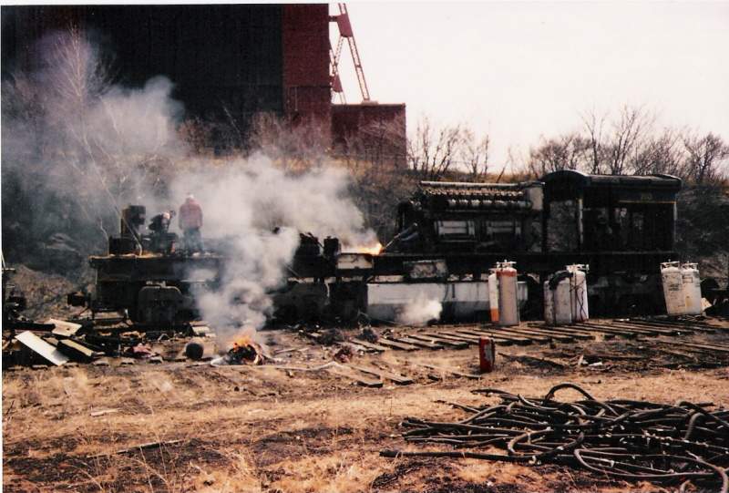 Photo of Scrapping in colonie yard