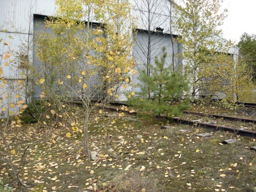 Photo of Abandoned Benson Mines engine shed