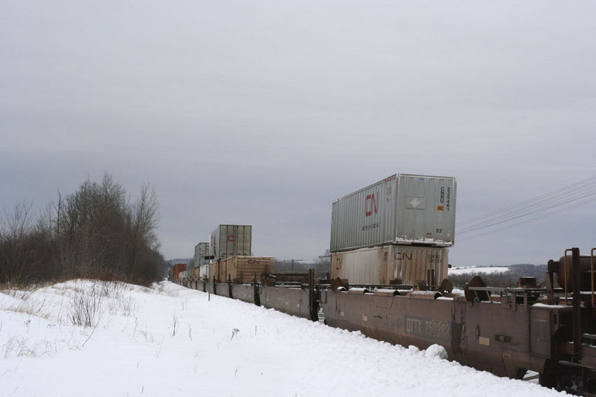 Photo of Intermodal cars from both CN 150 and CN149