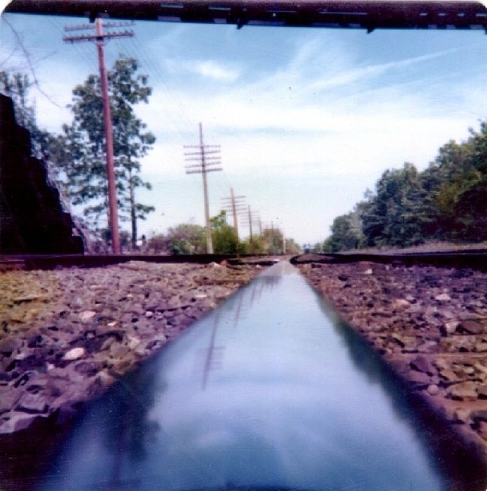 Photo of Mirage on the rail.