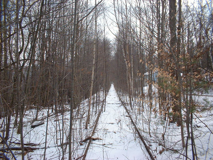 Photo of South of Highmount, Looking East (about MP 41)