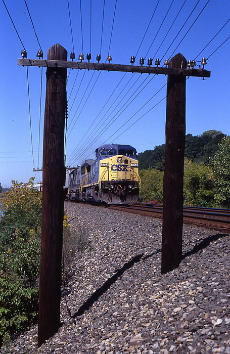 Photo of A CSX intermodal train at Hoffmans NY.