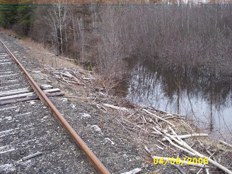 Photo of Sizable beaver dam at BML's mp 27.6