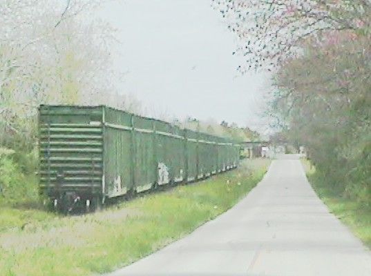 Photo of A short line of freight cars