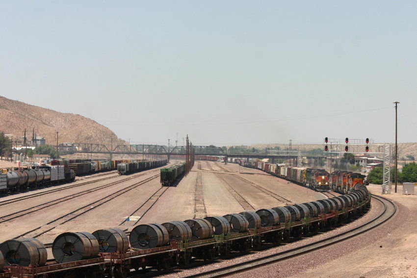 Photo of Passing in the yard