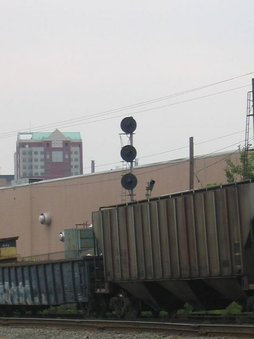 Photo of The Lone Signal