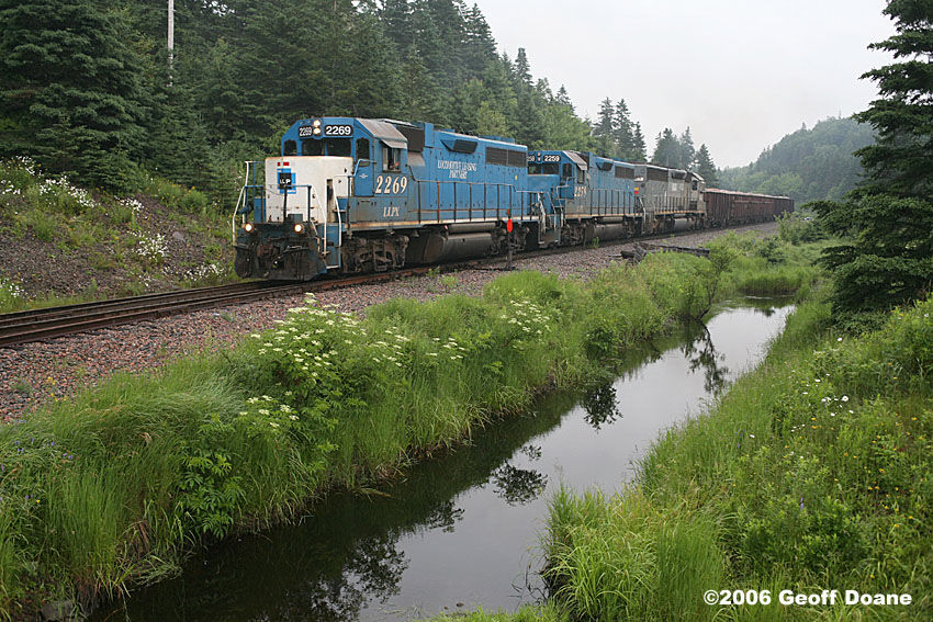 Photo of CBNS 305 at Marshy Hope