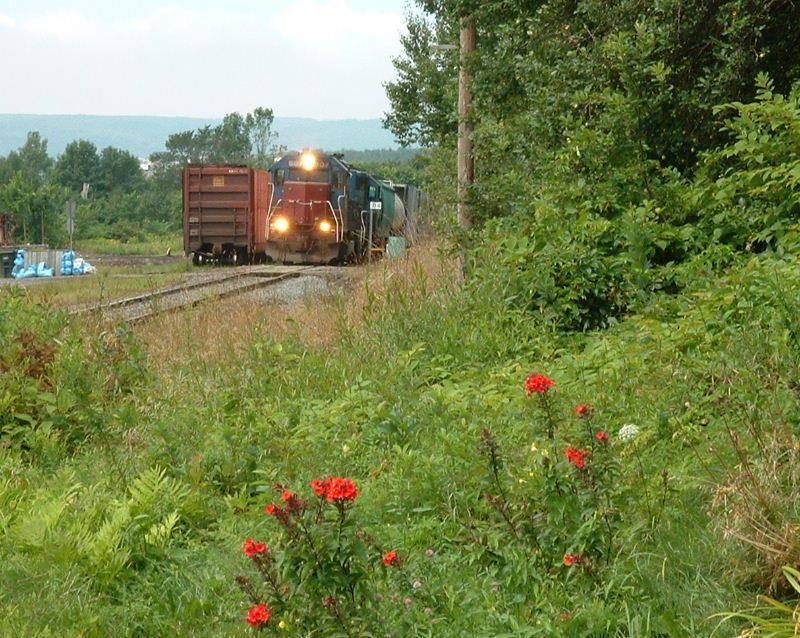 Photo of CBNS train 306 in Antigonish