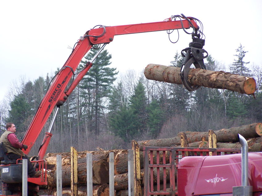 Photo of Transloading logs from rail to truck St. Johnsbury VT