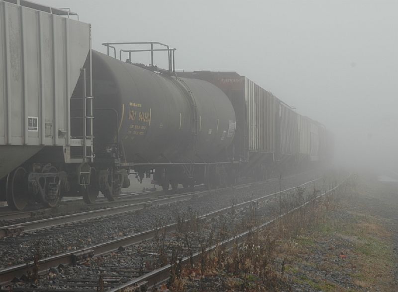 Photo of Rollin' in the fog