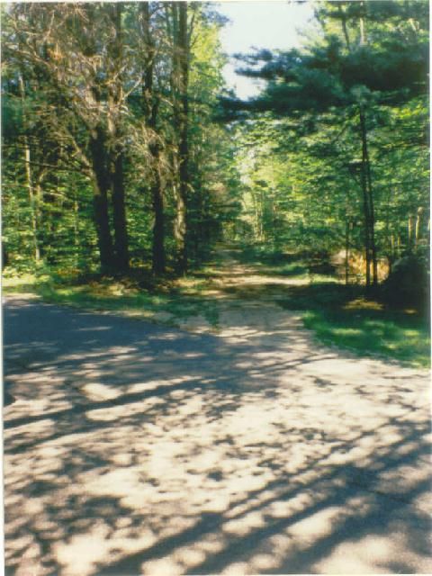 Photo of ROW crossing Swamp Road near Hancock Pond.