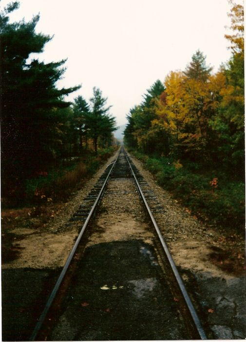 Photo of The Tracks in Bartlett