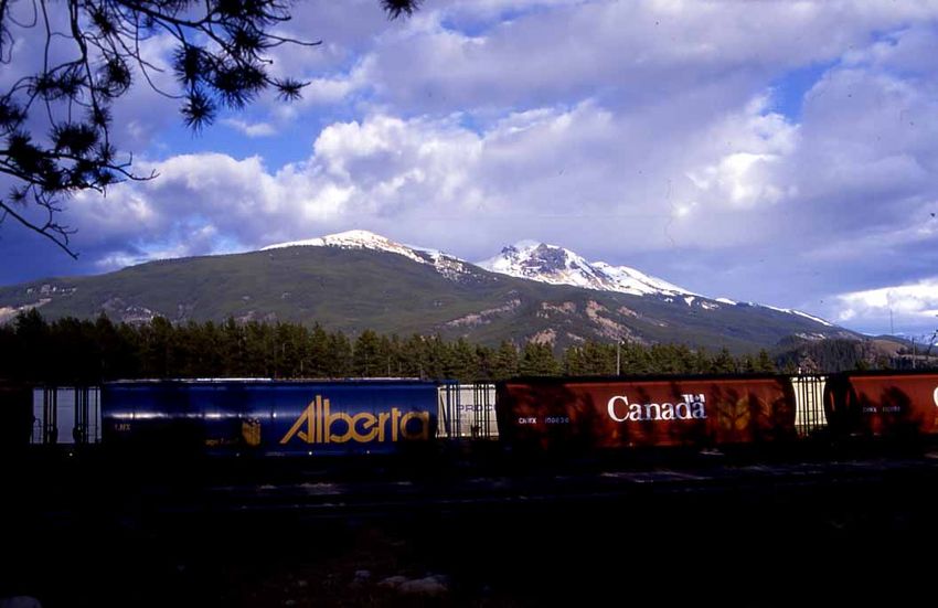 Photo of Grain cars and mountains - Jasper
