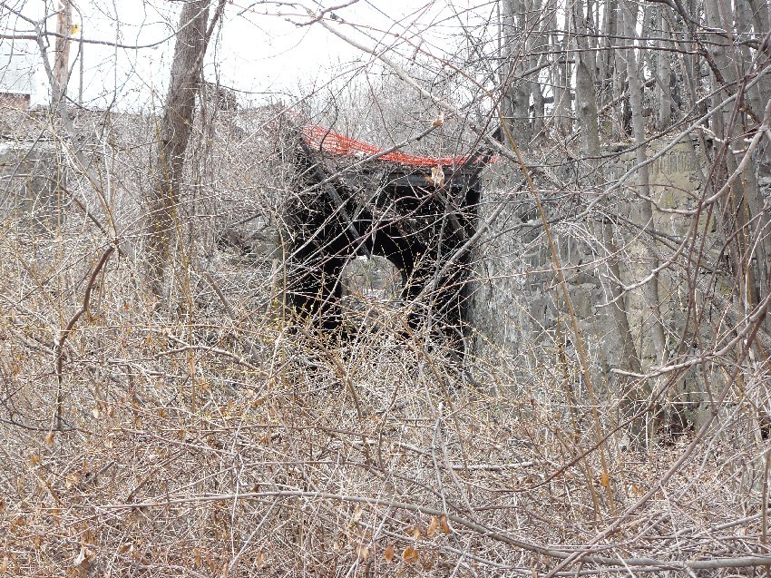 Photo of Overgrown tunnel portal