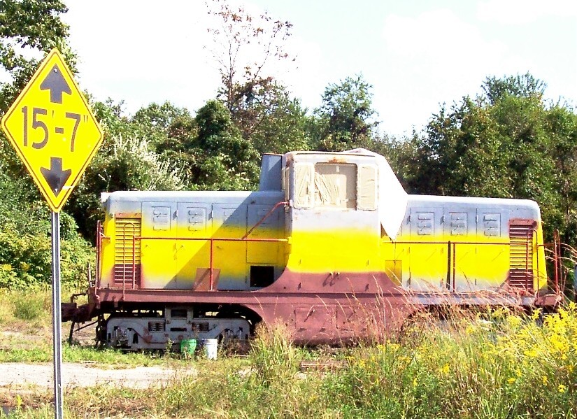 Photo of 44 Tonner in tall grass