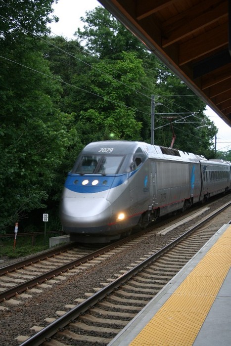 Photo of Acela in Clinton,CT