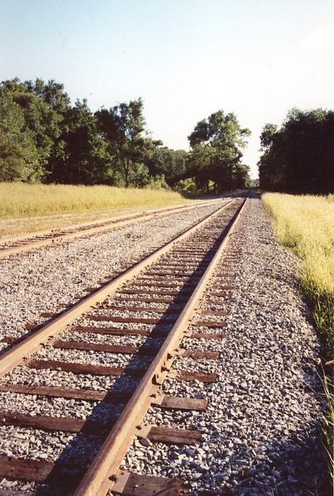 Photo of New Rail