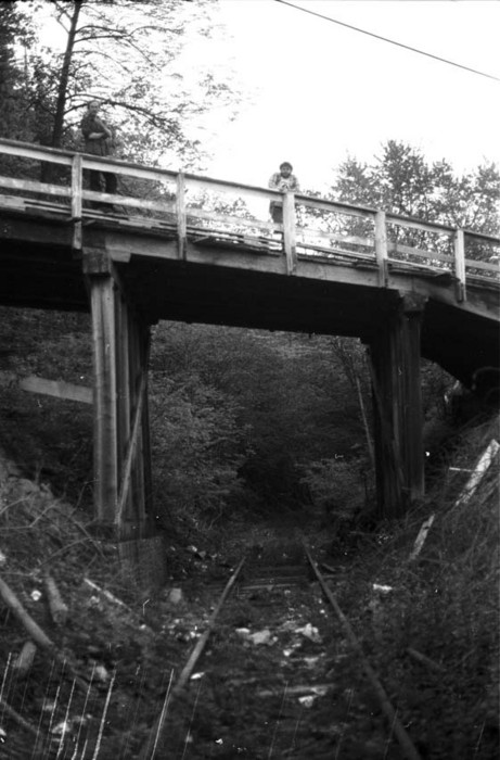 Photo of Long Lost Road Bridge over the 'ole Ulster & Delaware (now the CMRR)