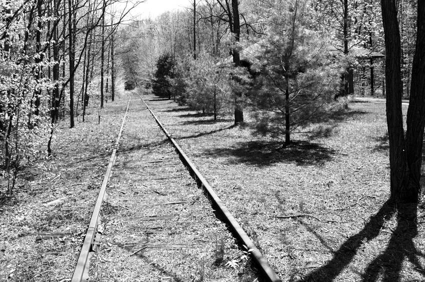 Photo of CMRR view east from Cold Brook Station May 1988