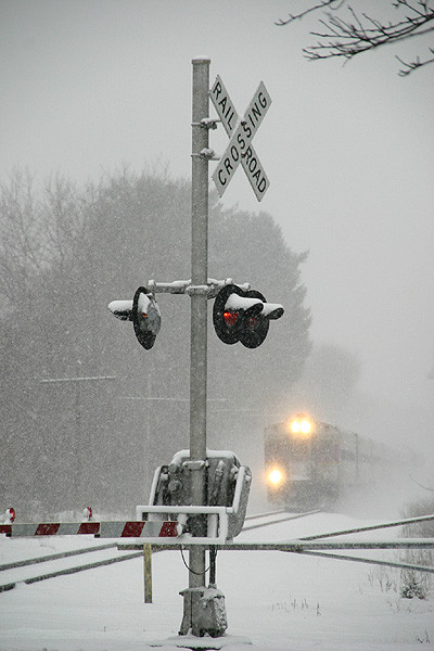 Photo of Crossing in the Snow