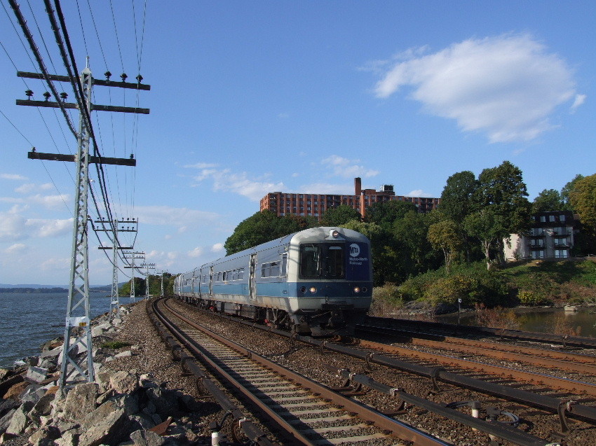 Photo of Metro North mutts at Scarborough