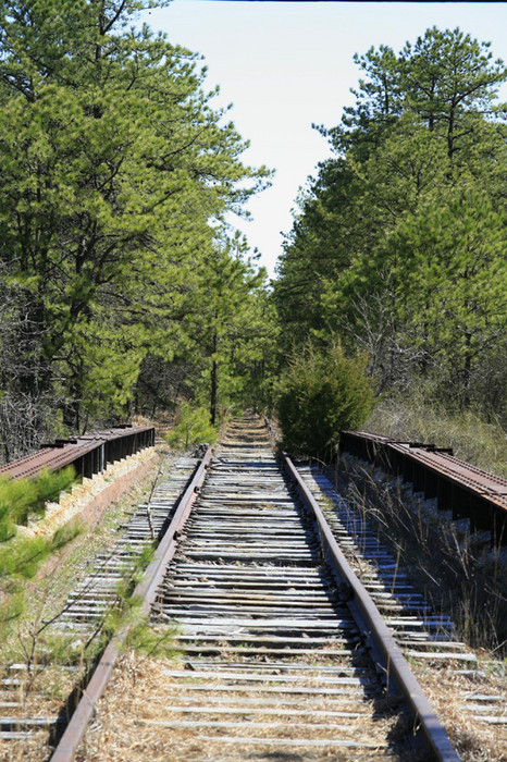 Photo of CNJ line through the Jersey Pines as it looks today crossing NJ rt .72