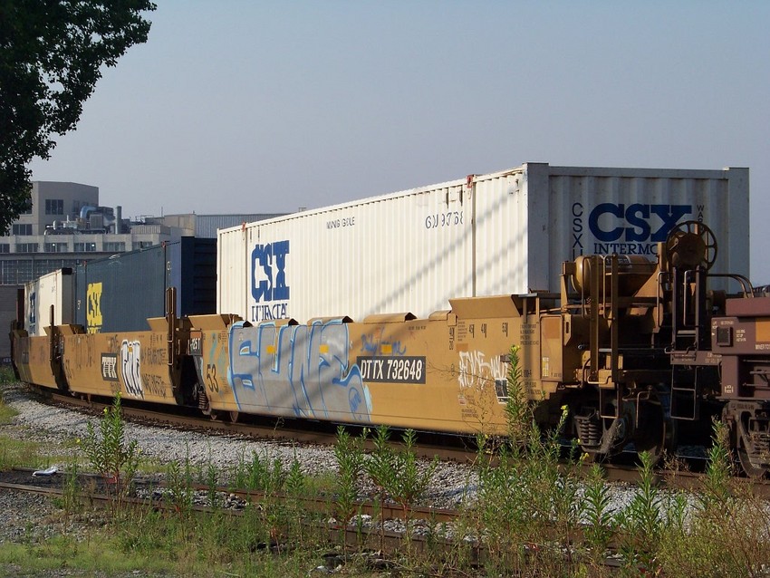 Photo of DTTX # 732648 ( Intermodal Container )
