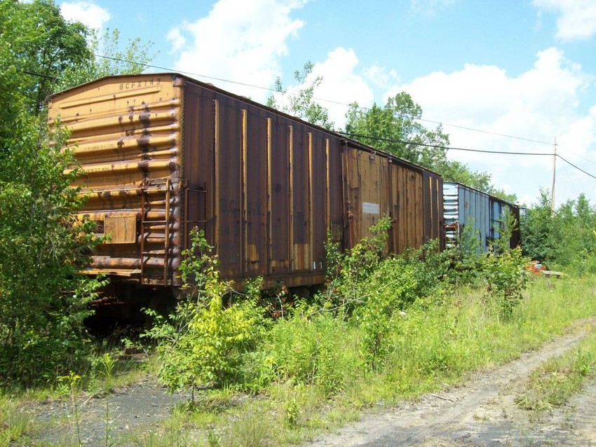 Photo of Knox & Kane RR Old Boxcars