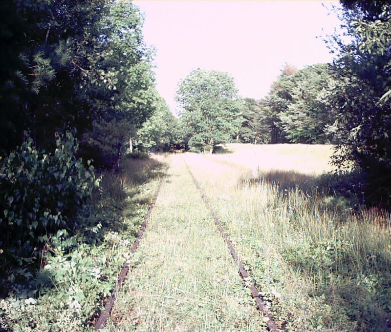 Photo of West Hurley ROW looking east after VRA mowed