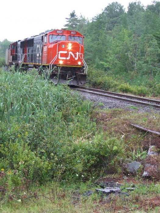 Photo of CN 701 in Waverley