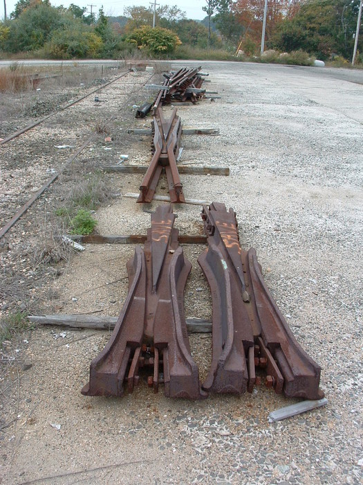 Photo of Old Rail Frogs - Westerly RI