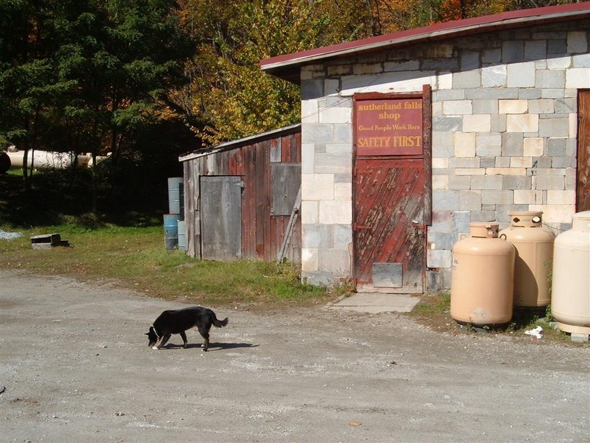 Photo of Reagan Sniffs Out The Old C&P Property
