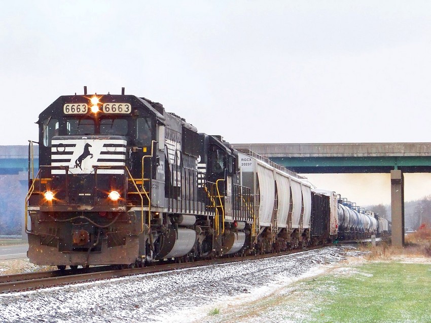 Photo of NS # 6663 (SD60)