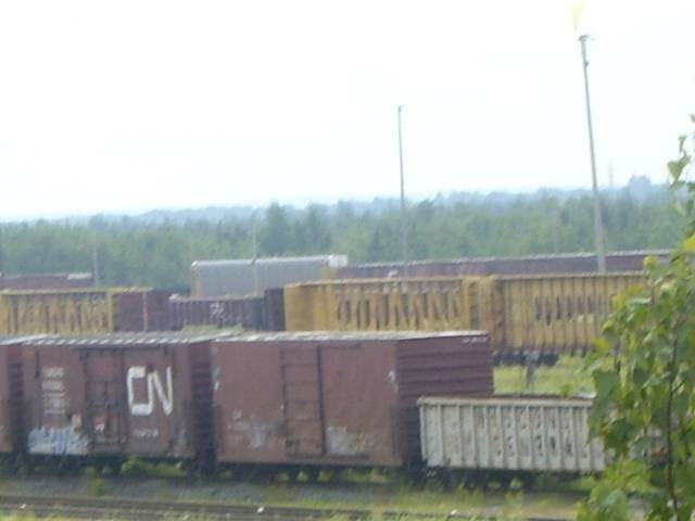 Photo of Looking @ the yard I found in Monton N.B.