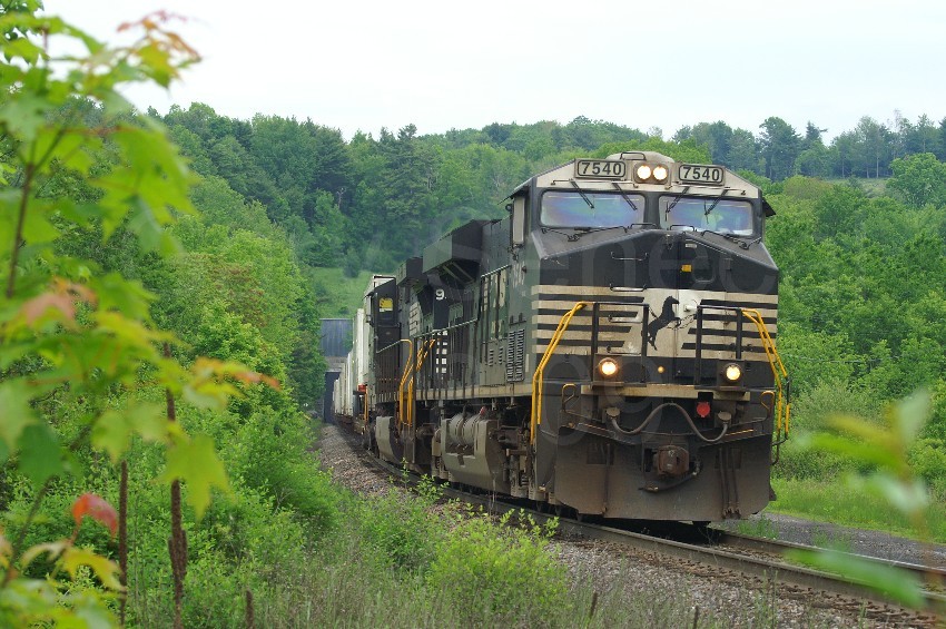 Photo of Southbound NS intermodal on the D&H