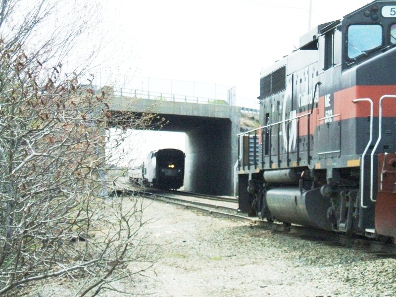 Photo of Amtrak and MEC GP40-2 w pass
