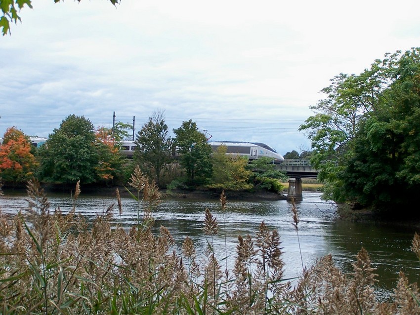 Photo of Acela Crosses the Branford River