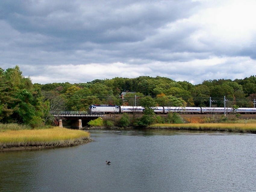 Photo of Regional at the Branford River